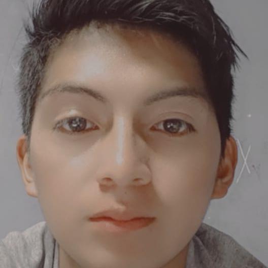 User Image